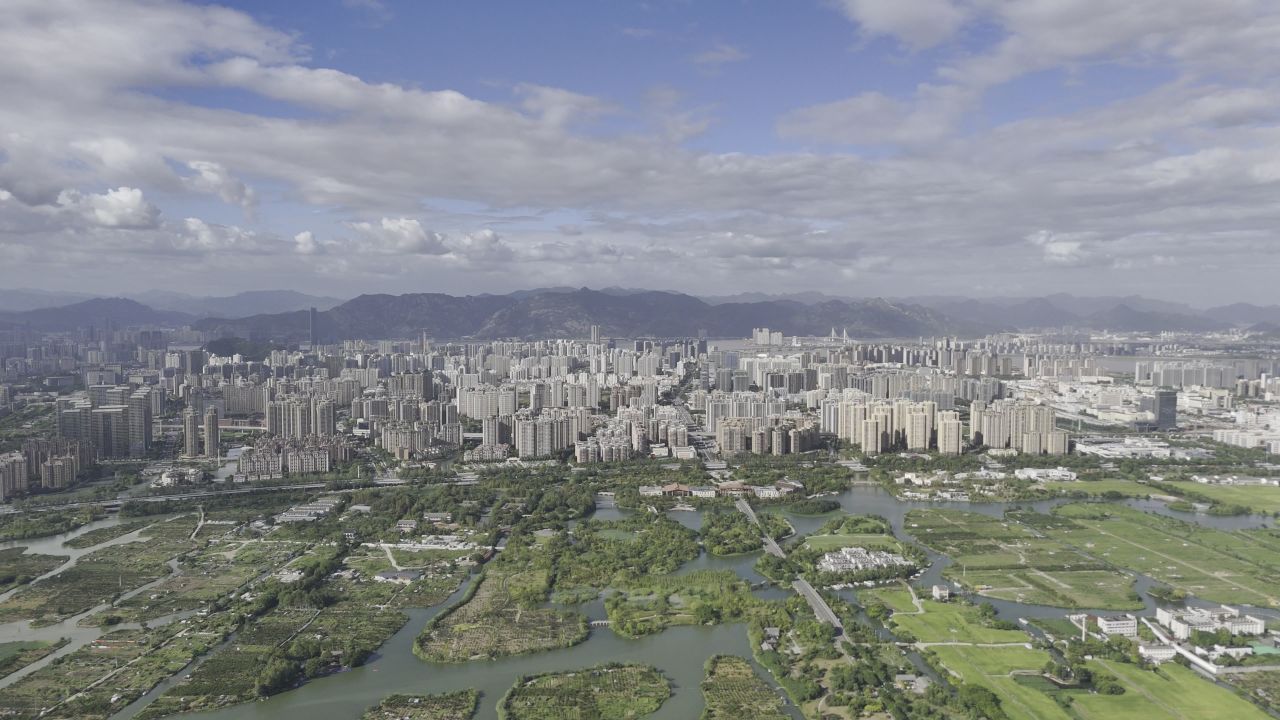 湿地与城市 11