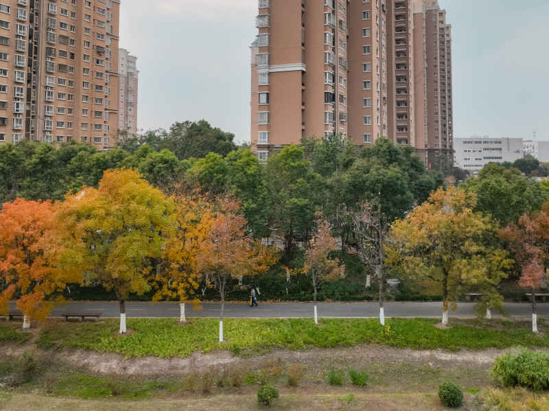 昆山道路上的秋冬景色 3