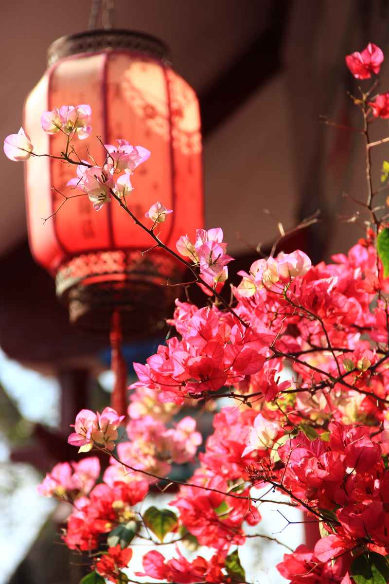 花