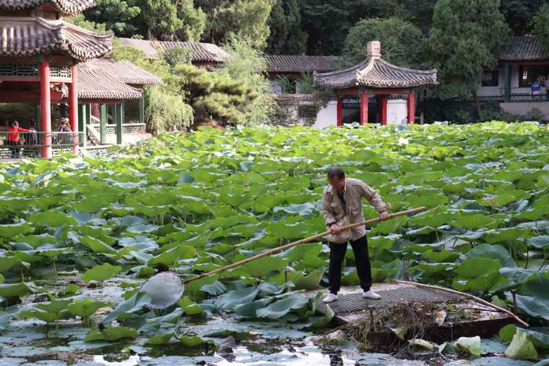 春游随拍1 10