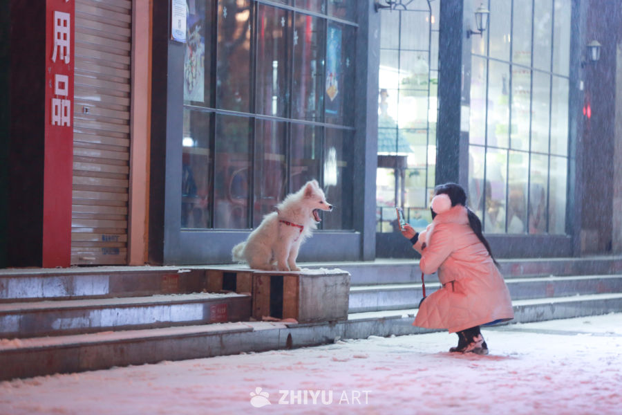 雪中温情