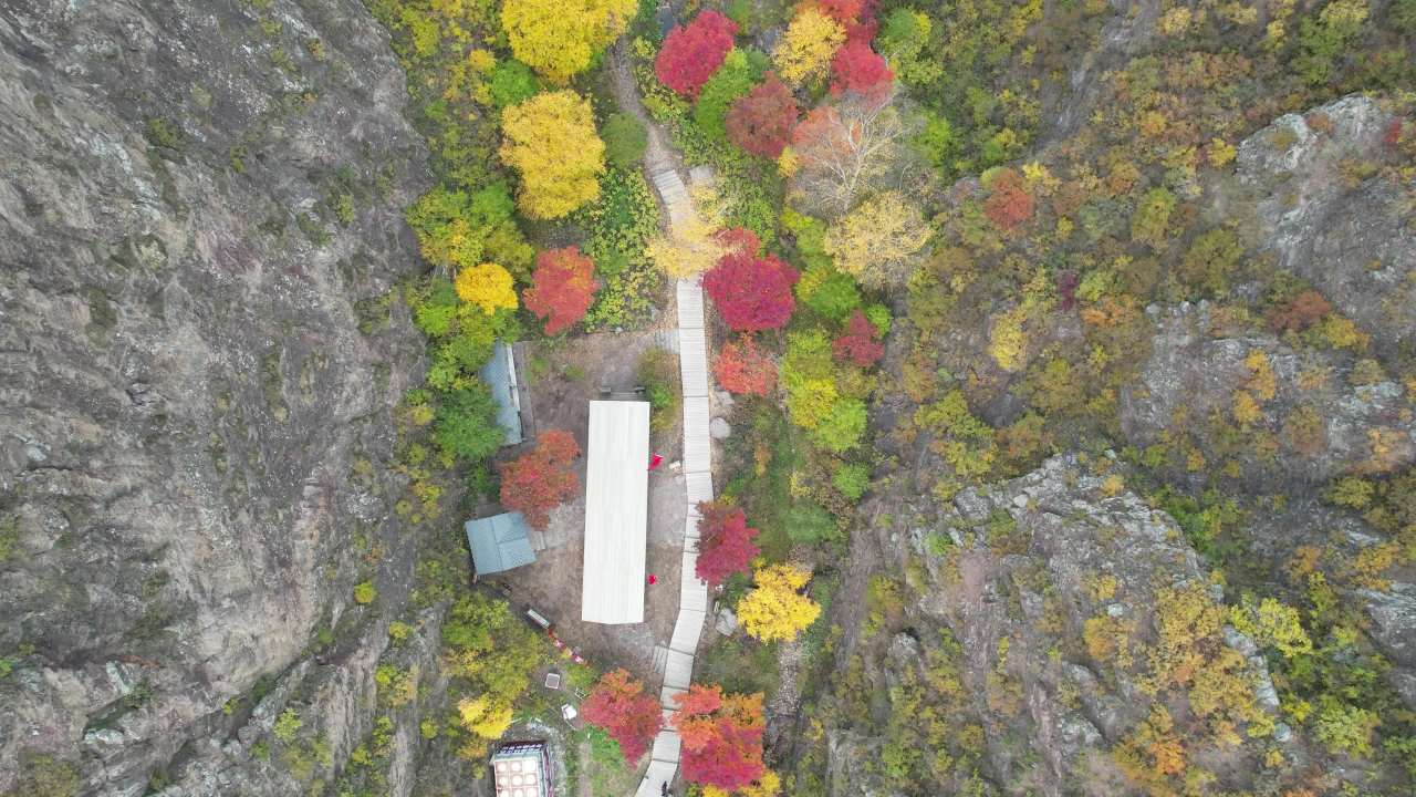 航拍秋季山林迷幻色彩