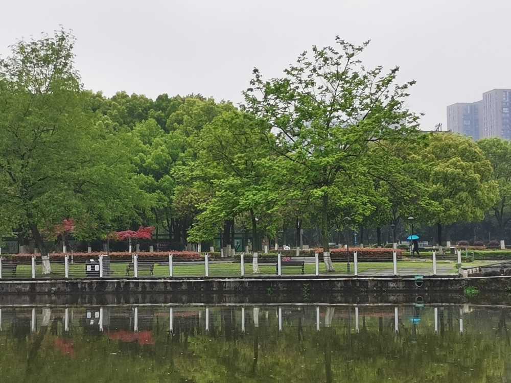 随手拍——公园