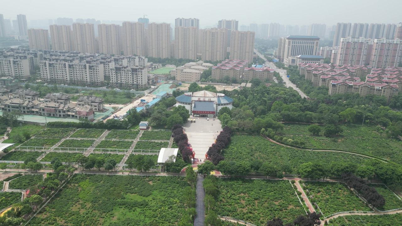 航拍山东菏泽曹州牡丹园4a景区
