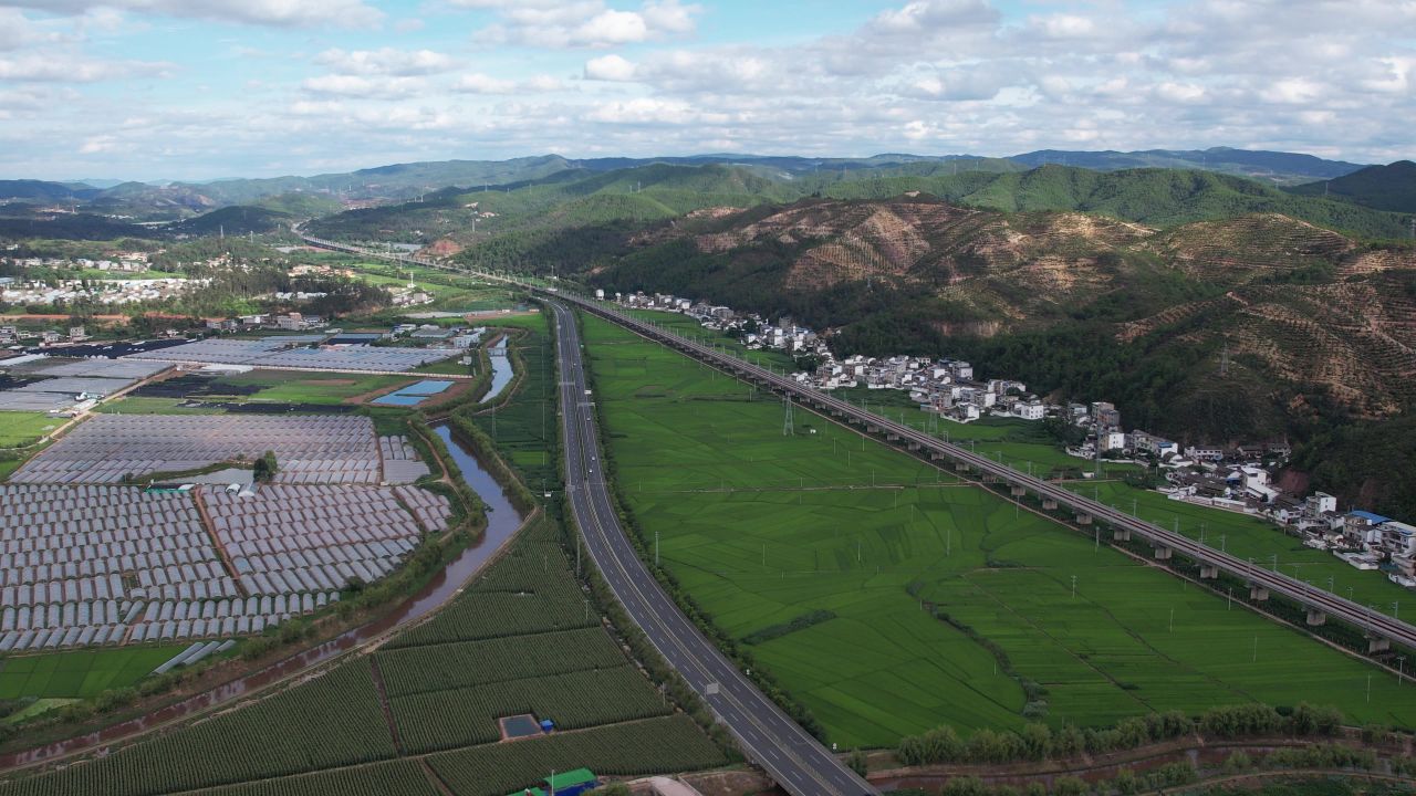 高速公路旁的绿色水稻田 乡村