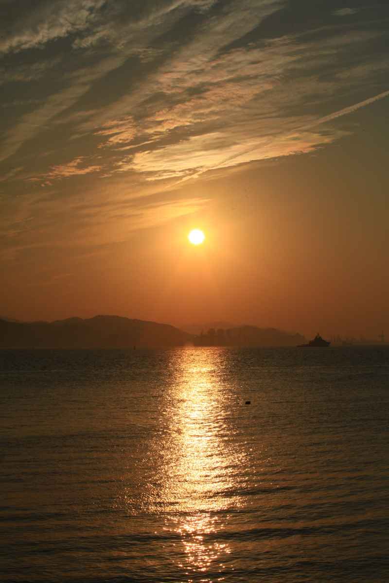 厦门 24