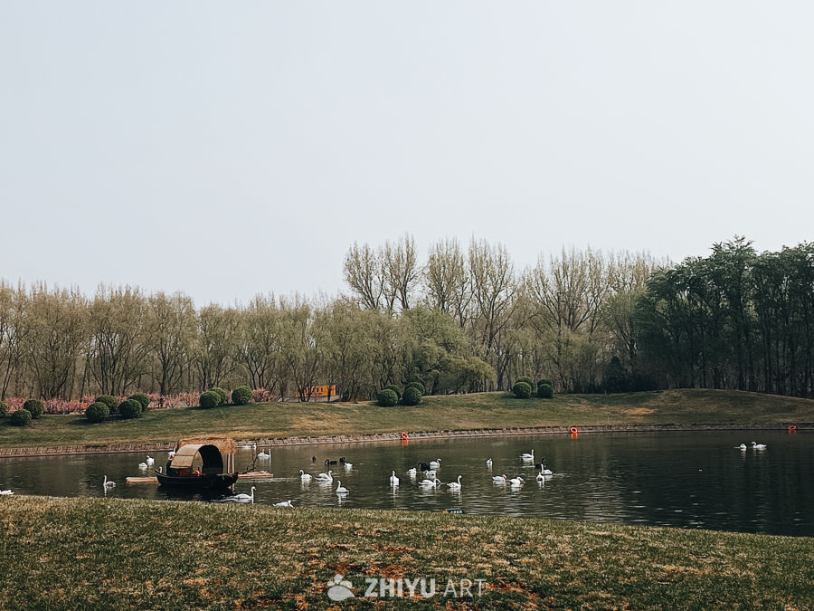 湖畔的宁静时光