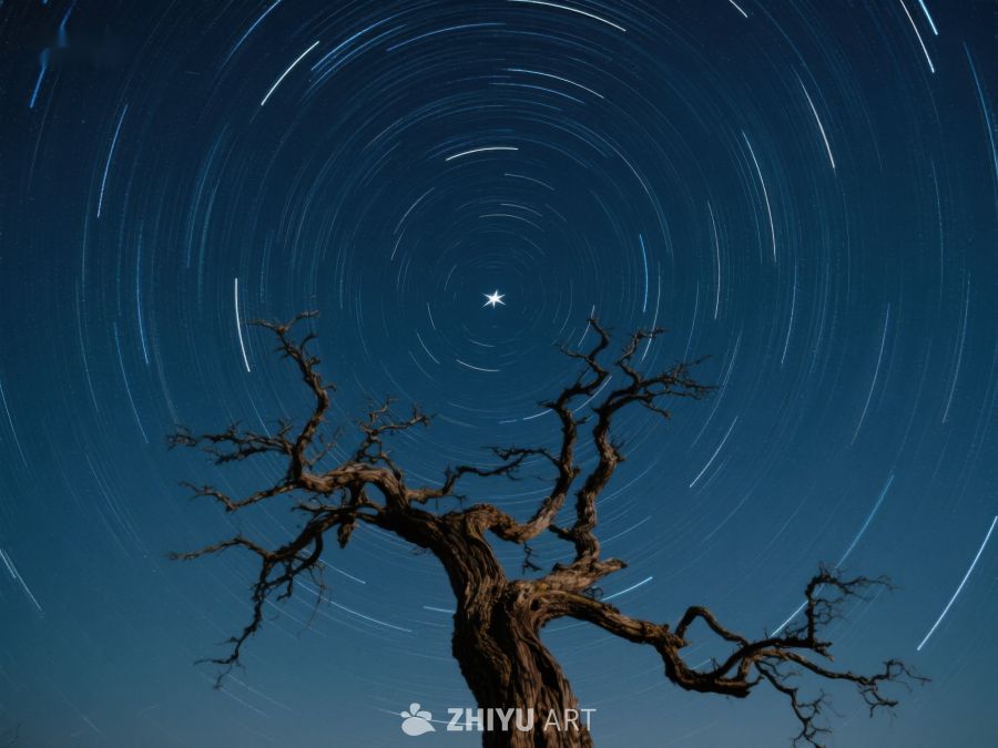 孤树与星空轨迹的静谧夜景 19