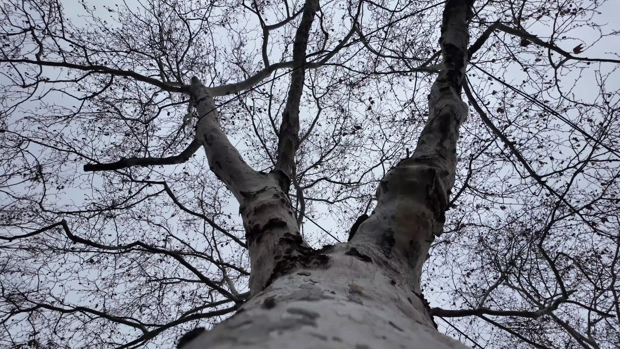 长沙 28