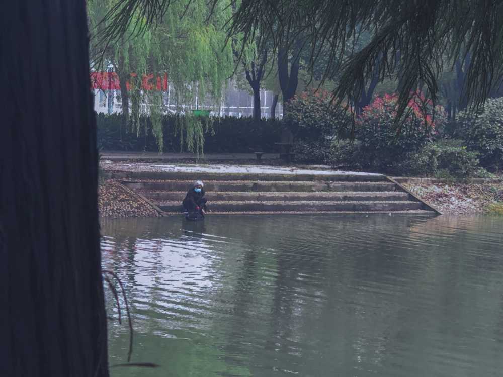 人与自然
