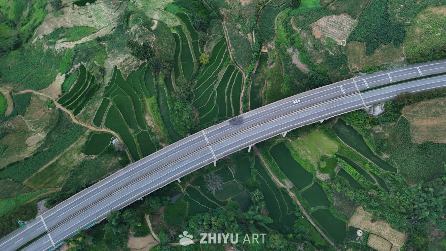绿意盎然的公路与梯田