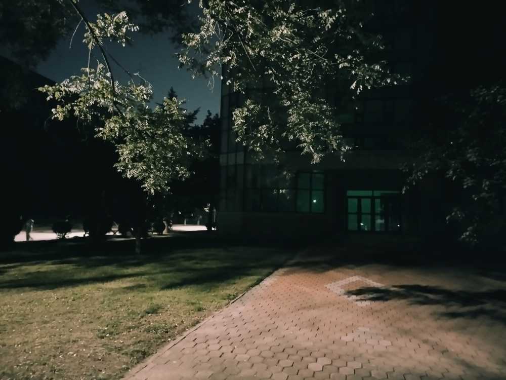 东北大学风景