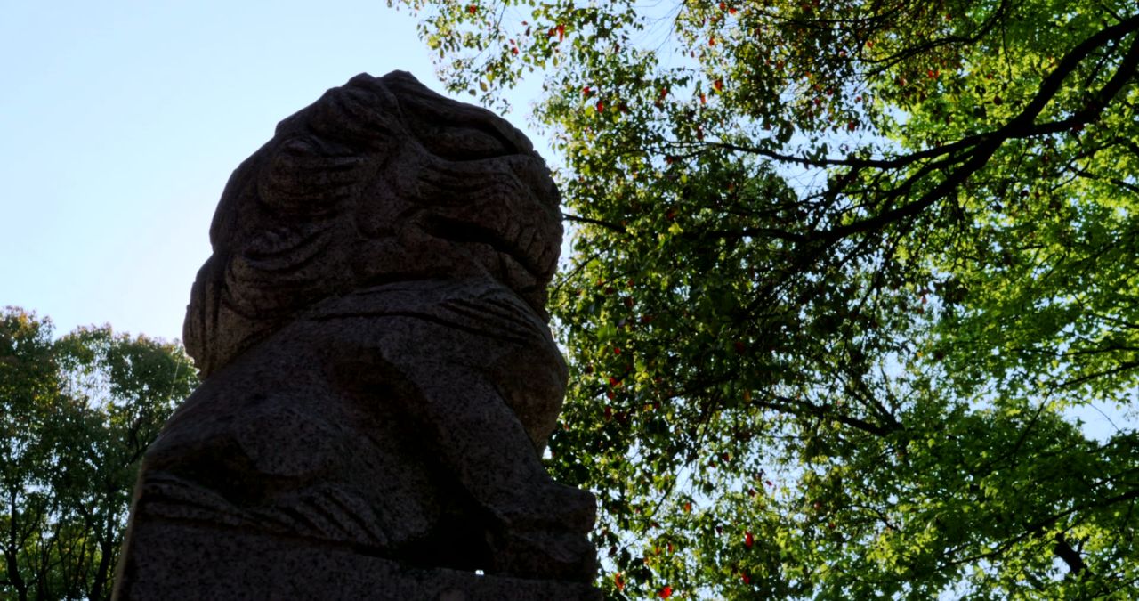 湖南长沙松柏寺古典建筑之美实拍视频