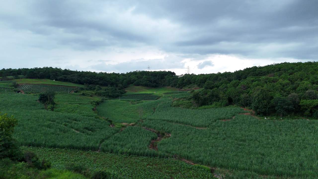 绿意盎然的山间田野