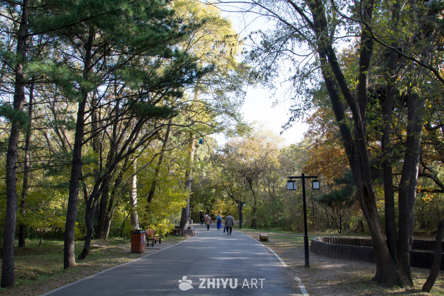 城市公园秋景