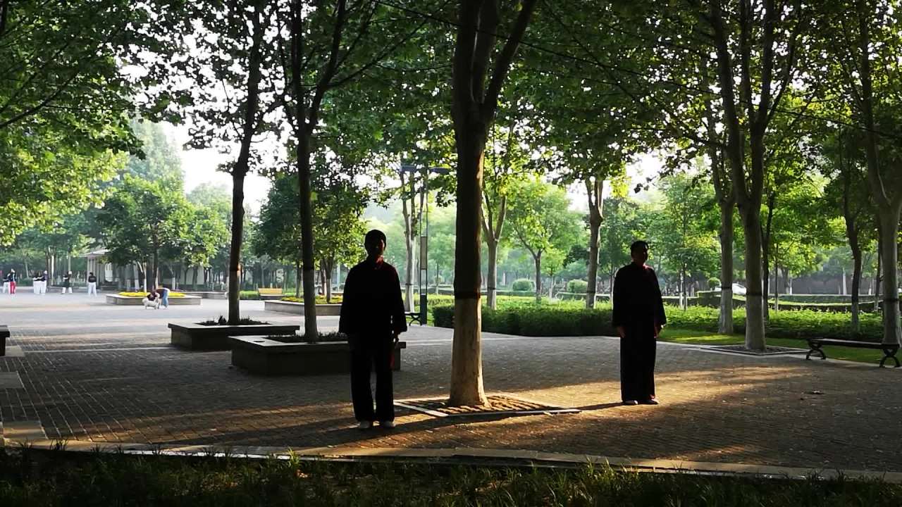 公园晨练太极