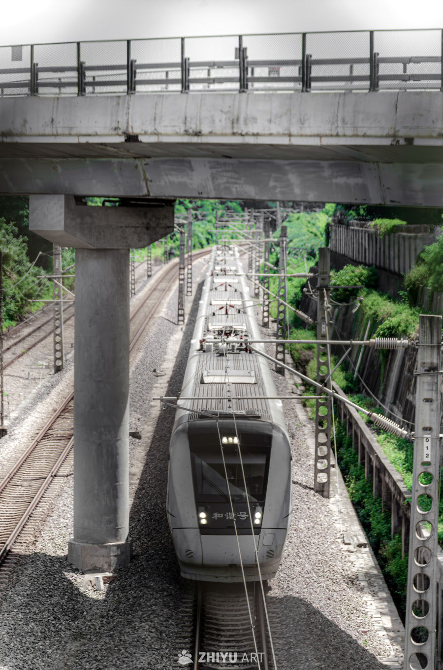 高铁穿行于绿意盎然的轨道间