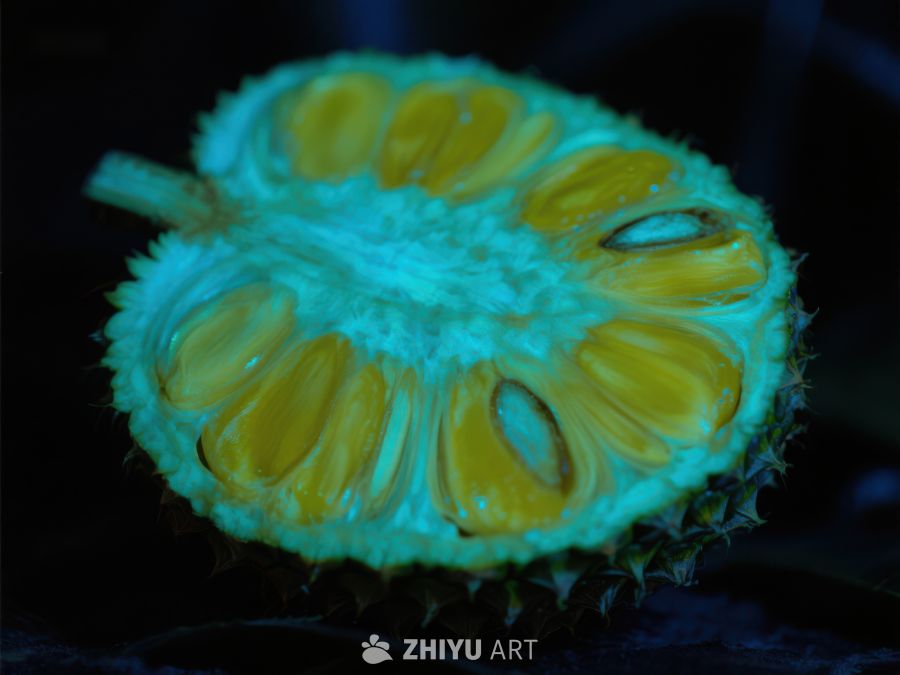 切开的热带水果特写 381