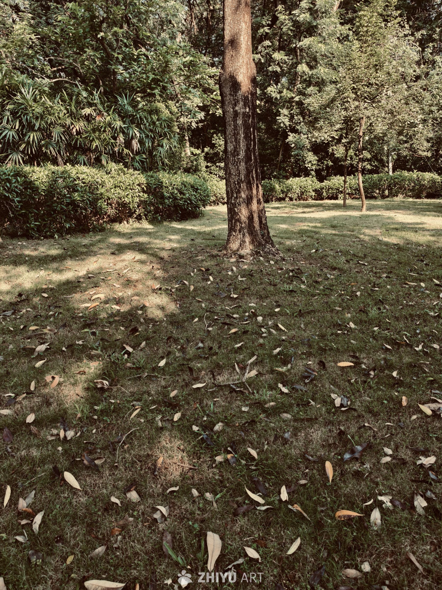 入秋