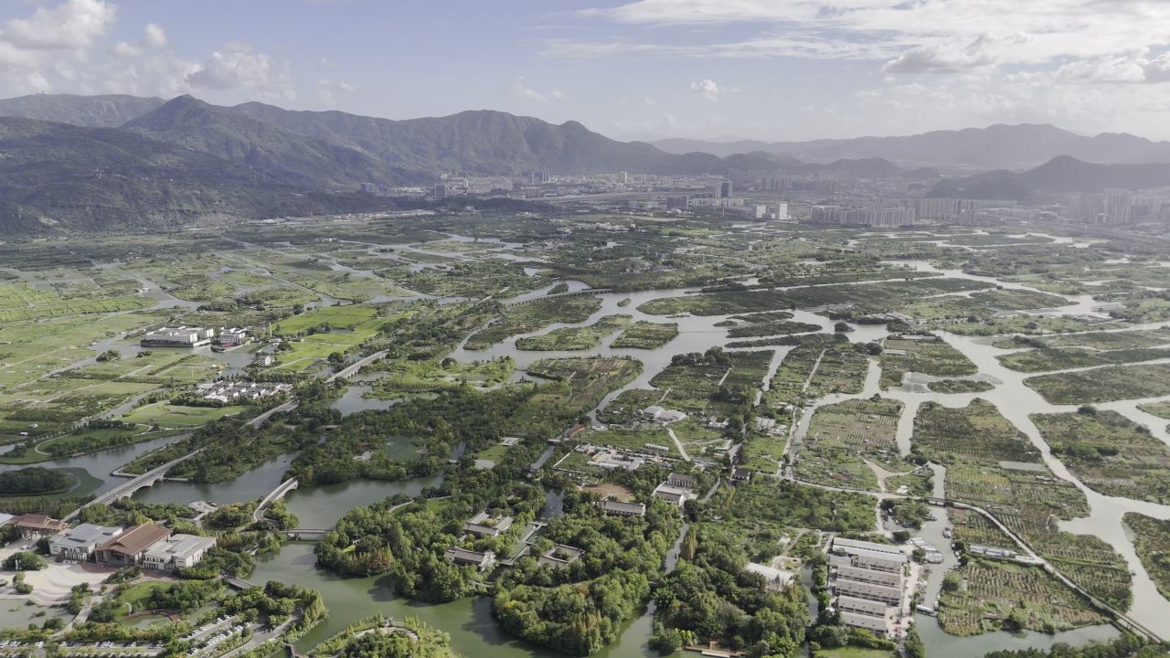 湿地与城市 3