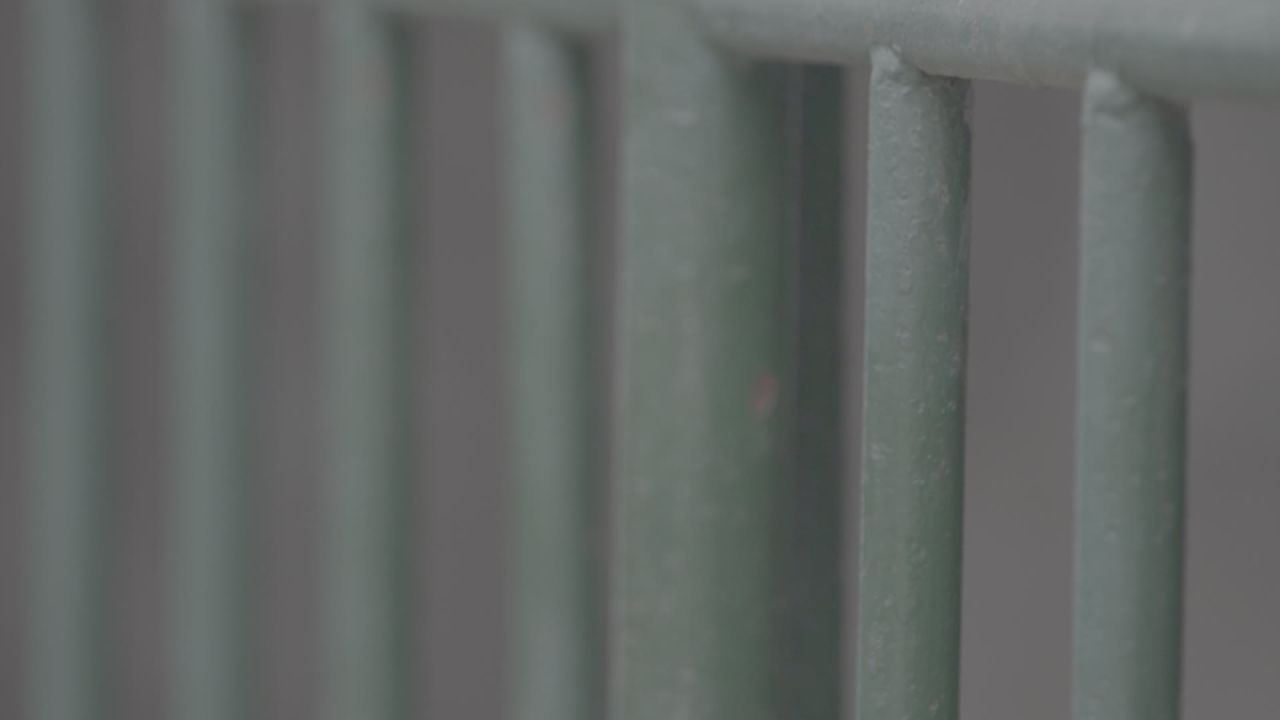学校 31