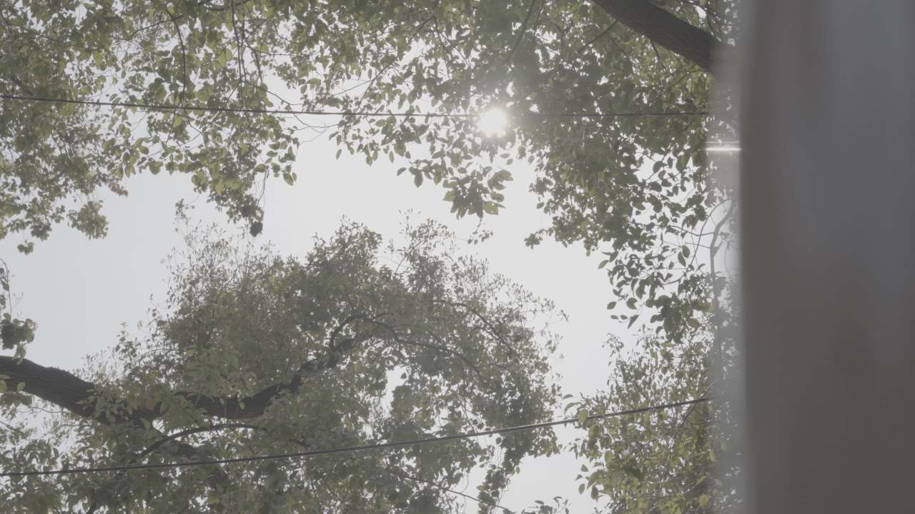 人文 42