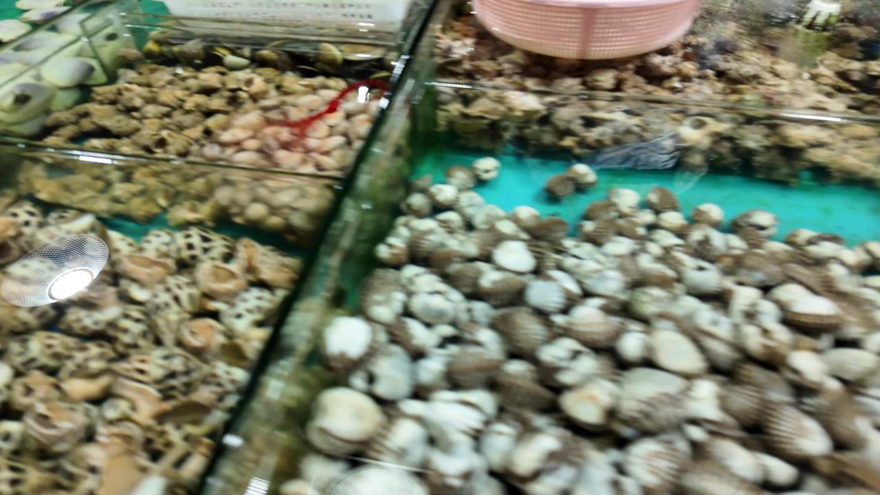 海鲜市场 6