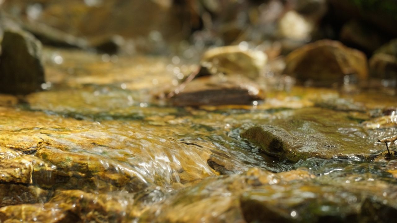 清澈山泉水温泉矿泉水小溪山涧 40