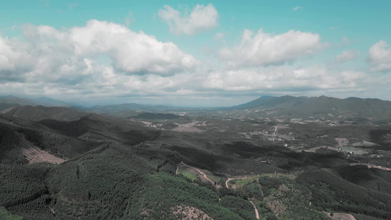 广西上思县十万大山 2