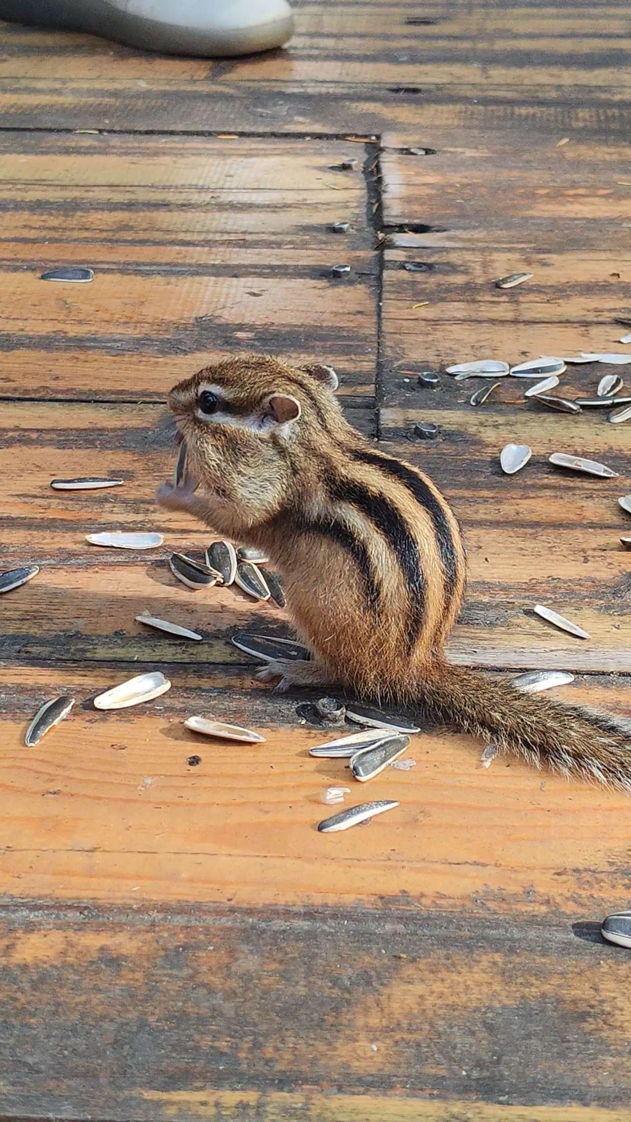 VID_20250926_140940 4