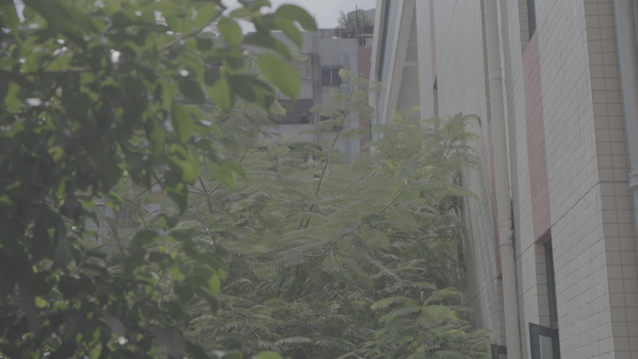 学校环境的空镜 31