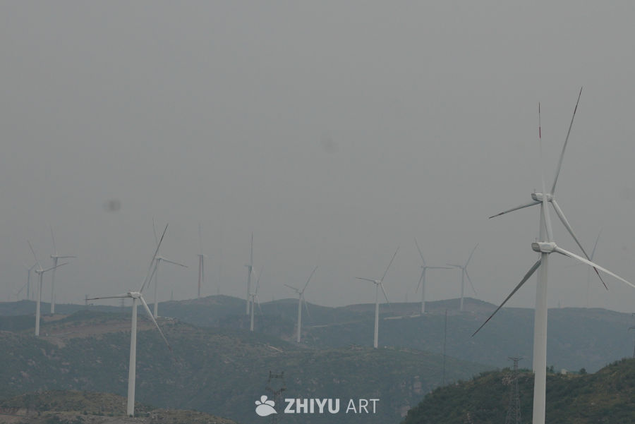 【实拍样片】索尼ZV-E1相机实拍照片 10