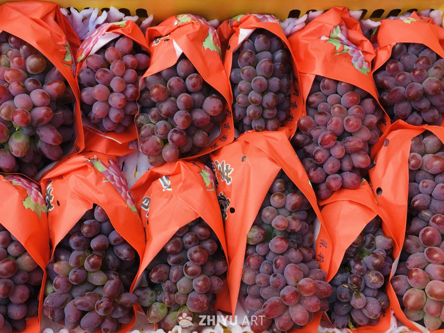 新鲜紫葡萄包装展示