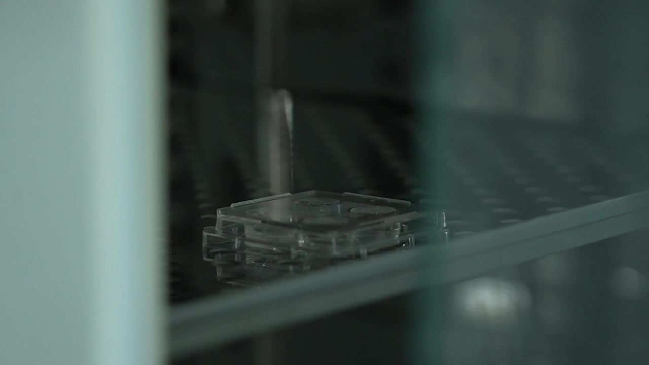 兽医胚胎手术操作及实验室检查