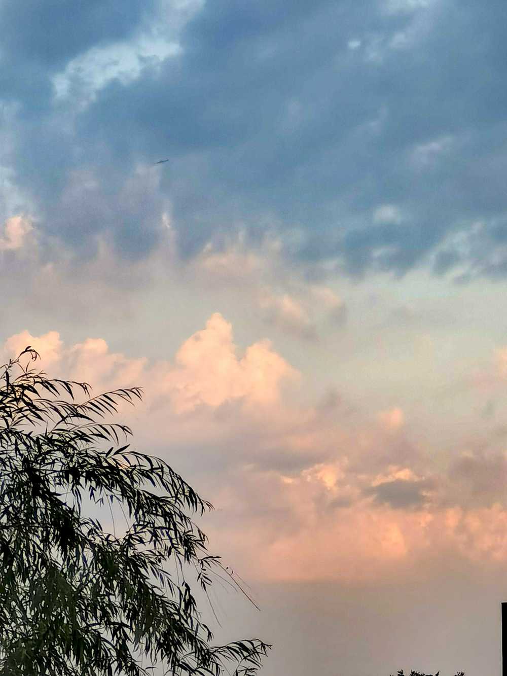 夏雨来时