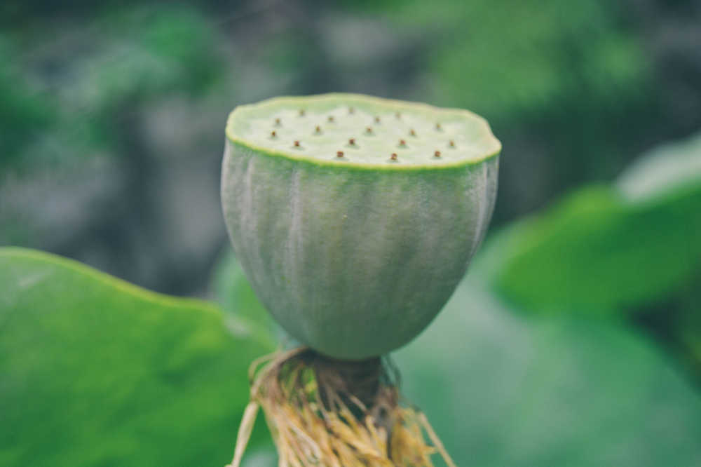 逝去的夏天