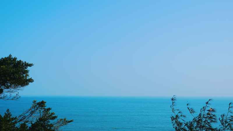 大海