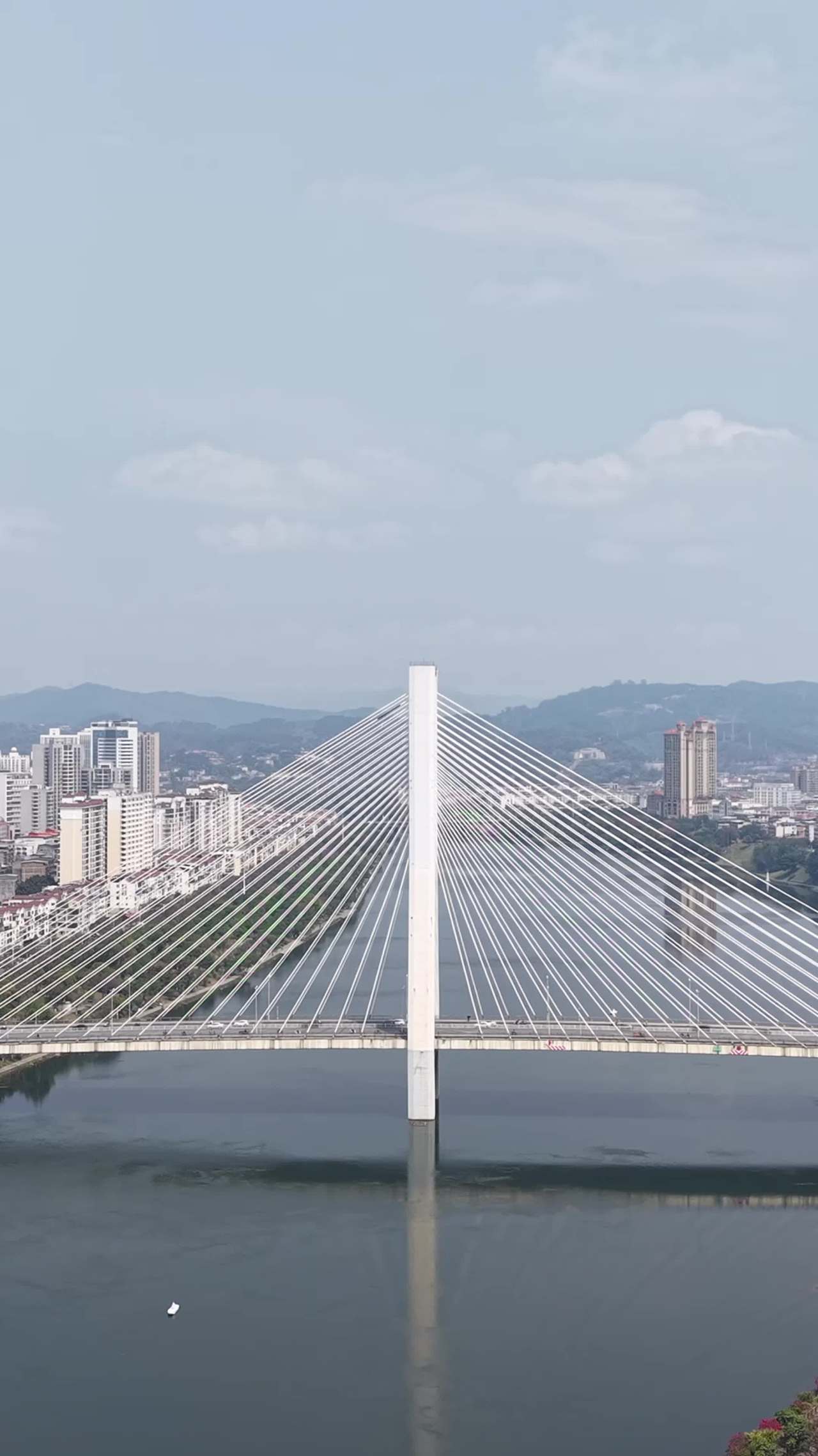 城市之上的悬索桥