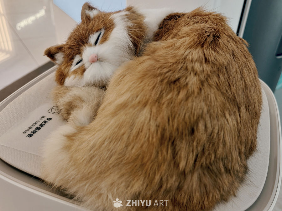 睡眼惺忪的猫咪玩偶
