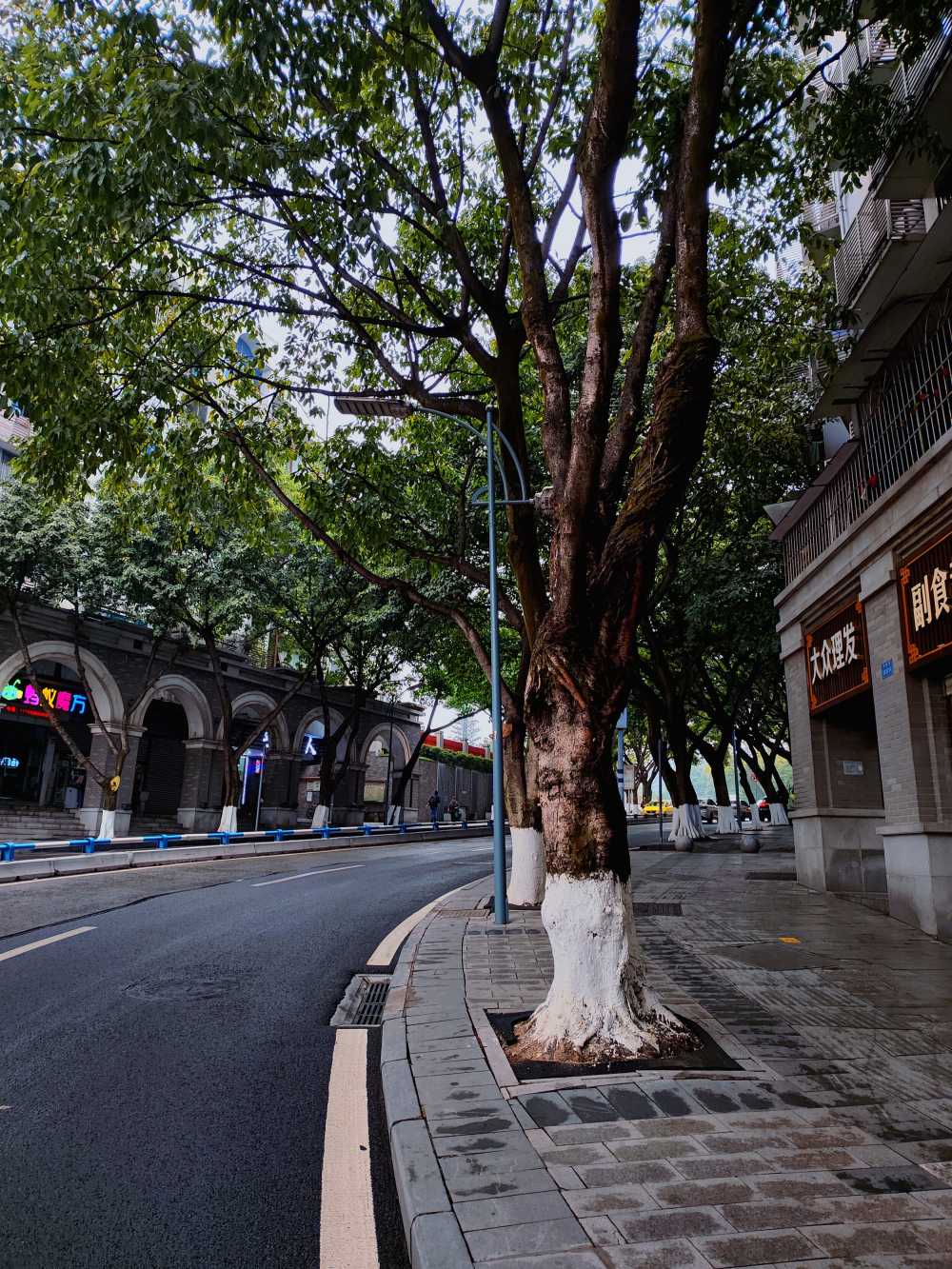 雨后的早晨