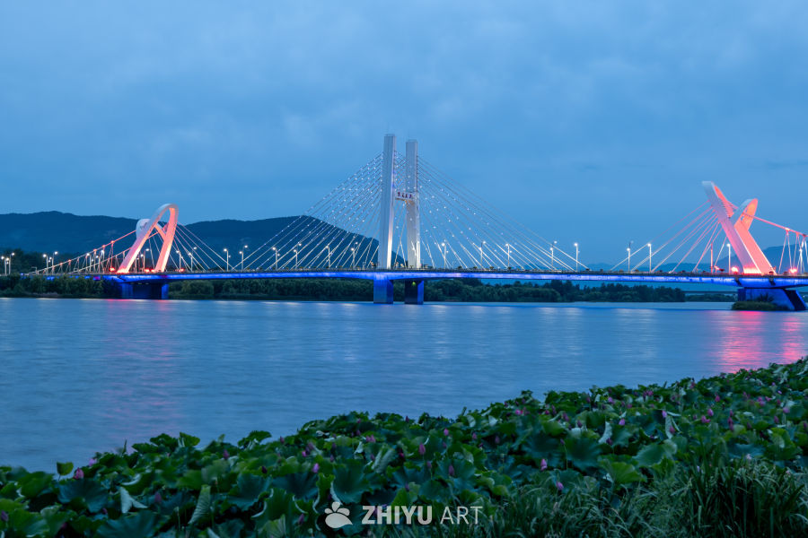 夜色下的大桥 15