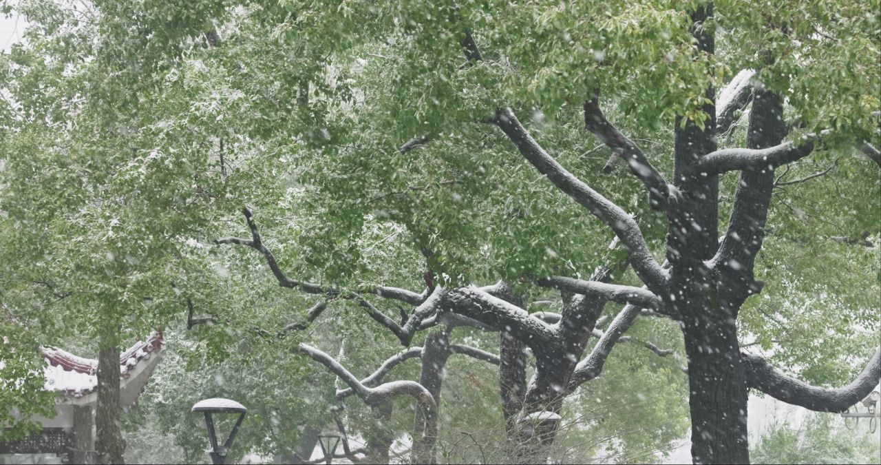 湖南长沙杜甫江阁城市建筑雪景 5