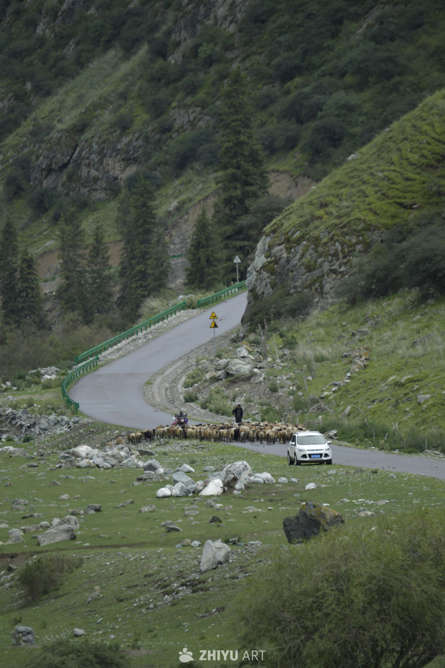 山间羊道