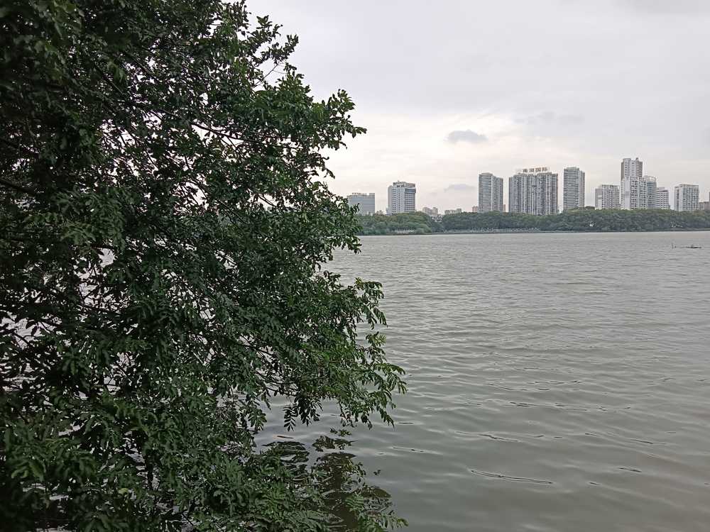 风景
