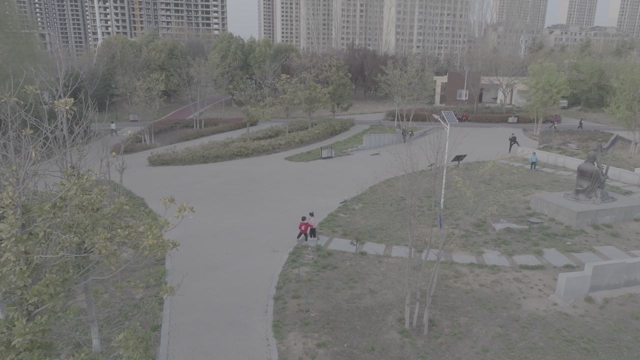 公园里的悠闲时光