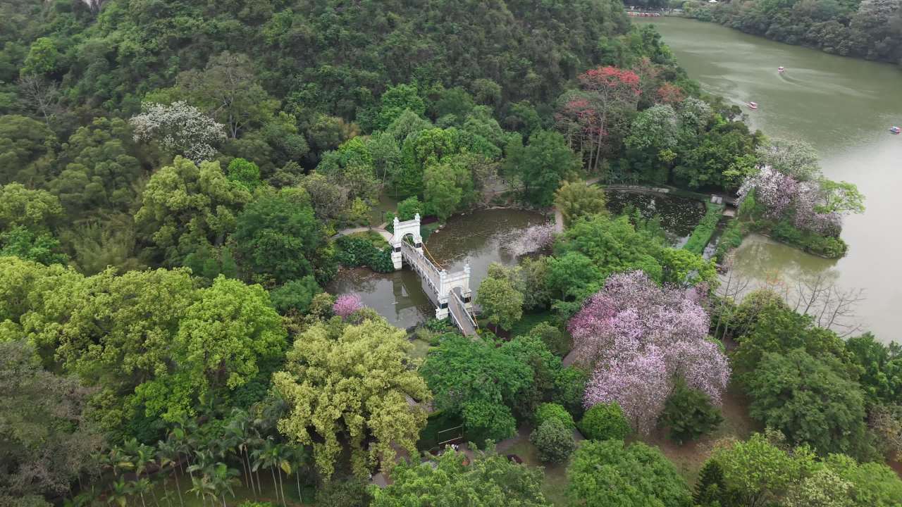 龙潭公园 6