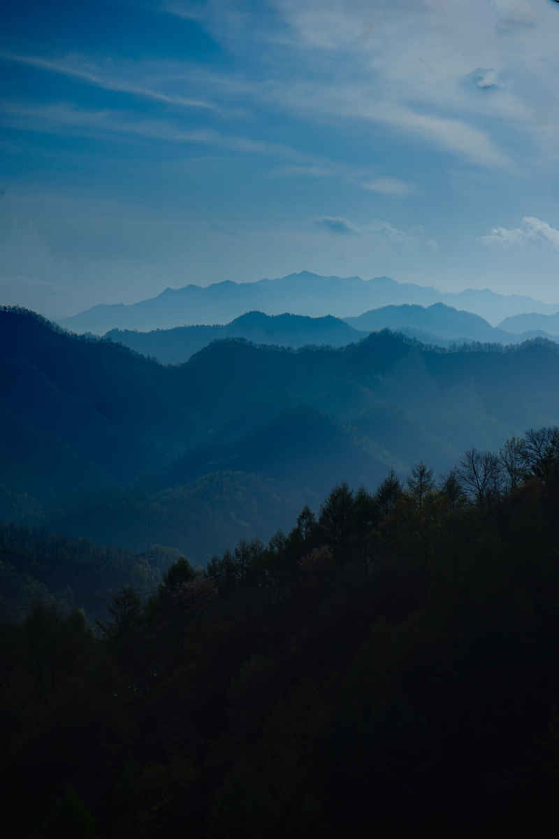 山
