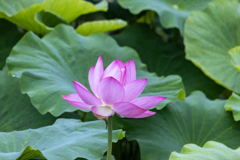 IMG_0385 拷贝