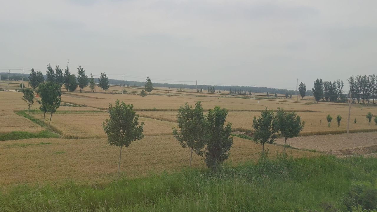 旅途风光蓝天白云高铁窗外实拍  