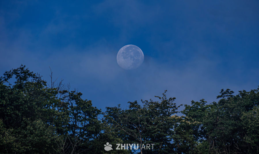 月夜静谧